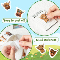 Dvbonike 800Pcs Cute Highland Cow Roll Stickers 8 Style Cartoon Hyland Cattle Decals for Kids, Water Bottle Laptop Scrapbook Luggage Decor Incentive School Classroom Rewards Gift Party Favor Supplies